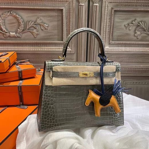 Hermes Birkin 25CM Togo Leather 3i Vert Criquet Silver Hardware HandMade in  2023